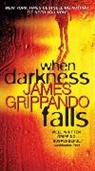 James Grippando - When Darkness Falls