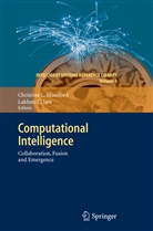 Christin L Mumford, Christine L Mumford, Christine L. Mumford - Computational Intelligence