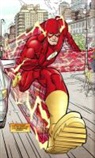 Geoff Johns - Flash Omnibus