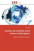 Imen Hedfi, Hedfi-i - Gestion de mobilite entre reseaux