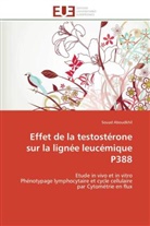 Souad Aboudkhil, Aboudkhil-s - Effet de la testosterone sur la