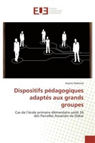 Assane Diakhaté, Diakhate-A - Dispositifs pedagogiques adaptes