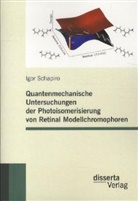 Igor Schapiro - Quantenmechanische Untersuchungen der Photoisomerisierung von Retinal Modellchromophoren