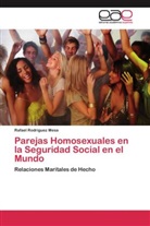 Rafael Rodríguez Mesa - Parejas Homosexuales en la Seguridad Social en el Mundo