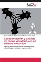 Laniado, Edwin Laniado, Sar Lecumberri, Sara Lecumberri, Miguel Ánge San Román, Miguel Ángel San Román - Caracterización y análisis de ondas vibratorias en un sistema mecánico
