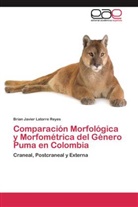 Brian Javier Latorre Reyes - Comparación Morfológica y Morfométrica del Género Puma en Colombia