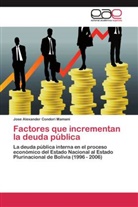 Jose Alexander Condori Mamani - Factores que incrementan la deuda pública