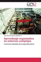 José Sánchez-Alarcos Ballesteros - Aprendizaje organizativo en entornos complejos