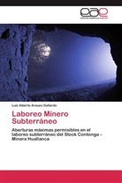 Luis Alberto Arauzo Gallardo - Laboreo Minero Subterráneo