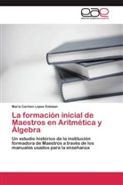 María Carmen López Esteban - La formación inicial de Maestros en Aritmética y Álgebra