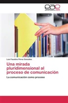 Luis Faustino Pérez González - Una mirada pluridimensional al proceso de comunicación