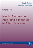 Prof PhD Simona Sava, Simona Sava - Needs Analysis and Programme Planning in Adult Education