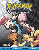 Hidenori Kusaki, Hidenori Kusaka, Hidenori/ Yamamoto Kusaka, Satoshi Yamamoto - Pokemon Black and White