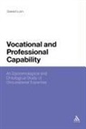 Gerard Lum, Gerard Lum - Vocational and Professional Capability