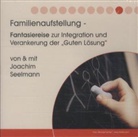 Joachim Seelmann - Familienaufstellung, 1 Audio-CD (Hörbuch)