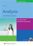 HELLIN, Helling, Helling, Patyn, Patyna, Patyna... - Mathematik - Ausgabe für das Kerncurriculum für Berufliche Gymnasien in Niedersachsen