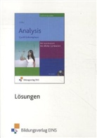 Klaus Schilling - Analysis, Qualifikationsphase Kerncurriculum Berufliche Gymnasien Niedersachsen, Lösungen