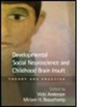 Amélie Achim, Vicki Anderson, Vicki (Royal Children's Hospital Anderson, Miriam A. Beauchamp, Miriam A. (University of Montreal Beauchamp, Miriam H. Beauchamp... - Developmental Social Neuroscience and Childhood Brain Insult