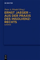 Ernst Jaeger, Pete A Windel, Peter A Windel, Peter A. Windel - Ernst Jaeger - Aus der Praxis des Insolvenzrechts