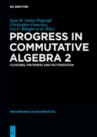 Le C Klingler, Lee C Klingler, Christopher Francisco, Lee Klingler, Lee C. Klingler, Sean M Sather-Wagstaff et al... - Progress in Commutative Algebra. Vol.2