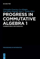 Le C Klingler, Lee C Klingler, Christopher Francisco, Lee Klingler, Lee C. Klingler, Sean Sather-Wagstaff... - Progress in Commutative Algebra. Vol.1