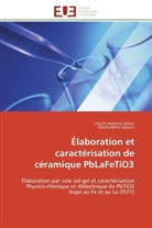 Lhaj El Hachem Omari, Lhaj El Hachemi Omari, Salaheddine Sayouri - Elaboration et caracterisation de