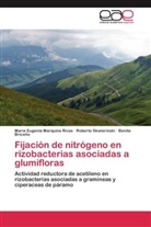 Benito Briceño, Maria Eugeni Marquina Rivas, Maria Eugenia Marquina Rivas, Roberto Skwierinski - Fijación de nitrógeno en rizobacterias asociadas a glumifloras