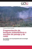 Francisco Andrés Carabelli - Fragmentación de bosques subantárticos a escalas de paisaje y de rodal