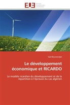 Saïd Boumendjel, Boumendjel-s - Le developpement economique et