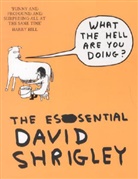 David Shrighley, David Shrigley - What the Hell Are You Doing?