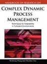Zhaohao Sun, Zhaohao Sun, Maggie Minhong Wang, Minhong Wang - Handbook of Research on Complex Dynamic Process Management