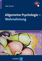 Mike Wendt - Allgemeine Psychologie - Wahrnehmung