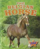 Sara Green - The Belgian Horse