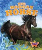 Sara Green - The Morgan Horse
