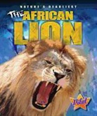 Lisa Owings - The African Lion