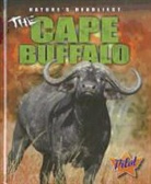 Lisa Owings - The Cape Buffalo