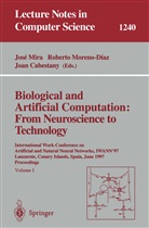 Joan Cabestany, Jose Mira, Robert Moreno-Diaz, Roberto Moreno-Diaz - Biological and Artificial Computation: From Neuroscience to Technology, 2 Teile