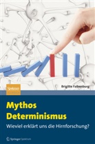 Brigitte Falkenburg - Mythos Determinismus