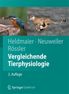 Gerhar Heldmaier, Gerhard Heldmaier, Gerhar Neuweiler, Gerhard Neuweiler, Wolfgang Rössler, Wol Rössler... - Vergleichende Tierphysiologie
