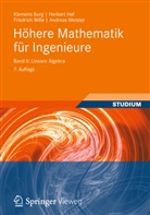 Klemen Burg, Klemens Burg, Herber Haf, Herbert Haf, Andreas Meister, Friedrich Wille... - Höhere Mathematik für Ingenieure - II: Lineare Algebra
