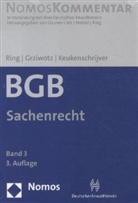 Barbara Dauner-Lieb, Grziwot, Herber Grziwotz, Herbert Grziwotz, Thomas Heidel, Keukenschrijver... - BGB, Kommentar - 3: Bürgerliches Gesetzbuch (BGB)