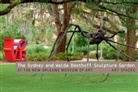 Miranda Lash - The Sydney Walda Besthoff Sculpture Garden at New Orleans Museum of