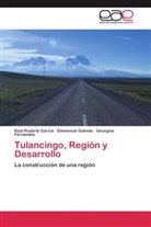 Fernández, Georgina Fernández, Emmanue Galindo, Emmanuel Galindo, Raú Rodarte García, Raúl Rodarte García - Tulancingo, Región y Desarrollo