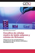María Nelcy Orozco García - Cocultivo de células madre de tejido adiposo y células de Schwann