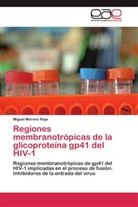 Miguel Moreno Raja - Regiones membranotrópicas de la glicoproteína gp41 del HIV-1