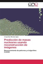 Irving Omar Morales Agiss - Predicción de masas nucleares usando reconstrucción de imágenes