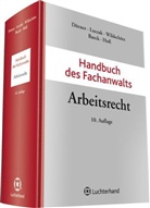 Klemens Dörner, Klemens Maria Dörner, Stefan Luczak, Martin Wildschütz, Ulrich Baeck, Klemens Dörner... - Handbuch des Fachanwalts: Arbeitsrecht
