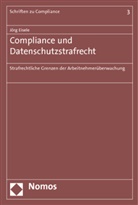 Jörg Eisele - Compliance und Datenschutzstrafrecht