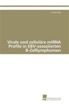 Jochen Imig - Virale und zelluläre miRNA Profile in EBV-assoziierten B-Zelllymphomen