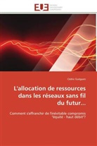 Cédric Guéguen, Gueguen-c - L allocation de ressources dans